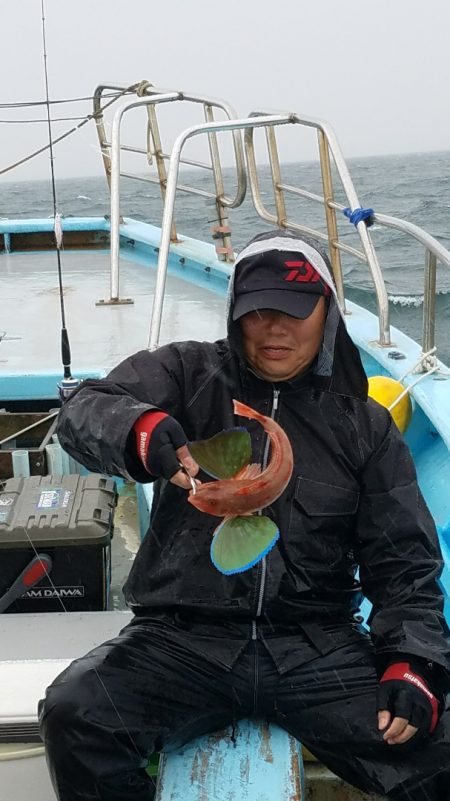 みやけ丸 釣果