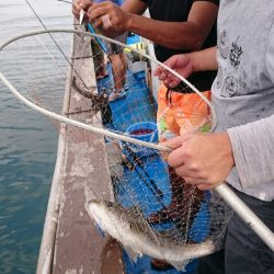 海龍丸（石川） 釣果