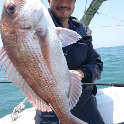 だて丸 釣果