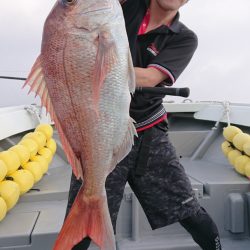 だて丸 釣果