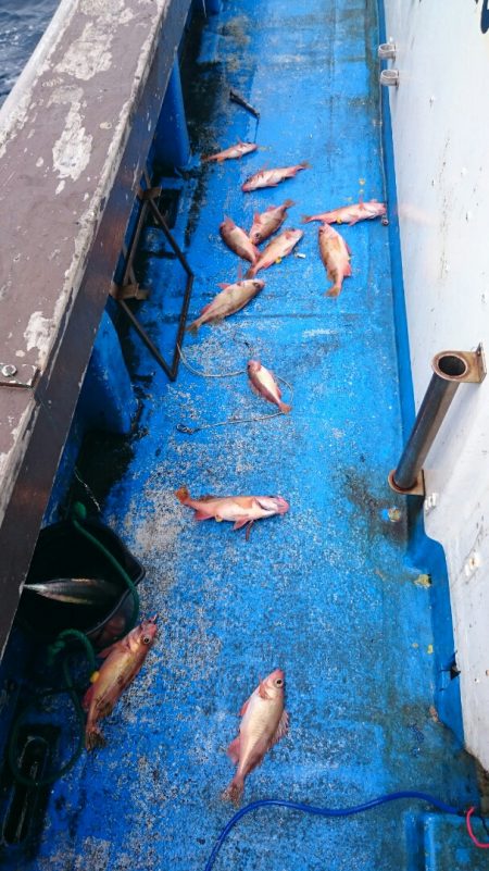 海龍丸（石川） 釣果