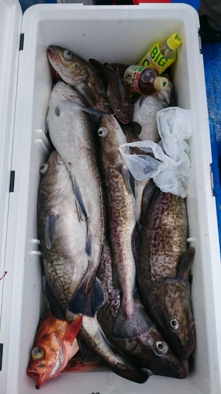 海龍丸（石川） 釣果