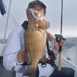 渡船屋たにぐち 釣果