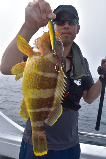 渡船屋たにぐち 釣果