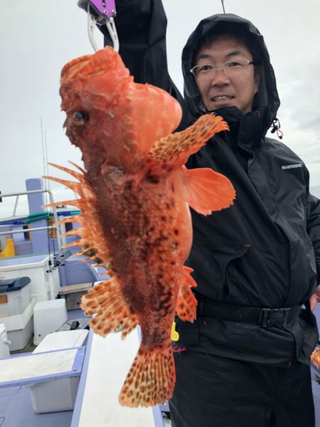 新幸丸 釣果