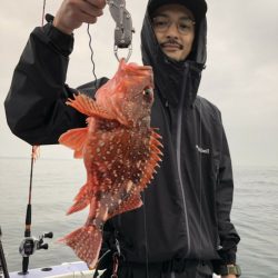 新幸丸 釣果