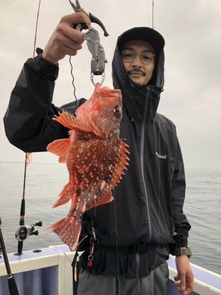 新幸丸 釣果