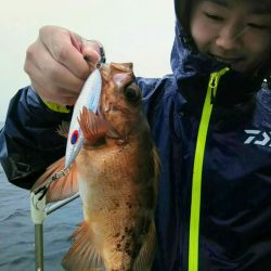 光生丸 釣果