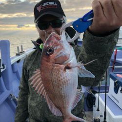 新幸丸 釣果