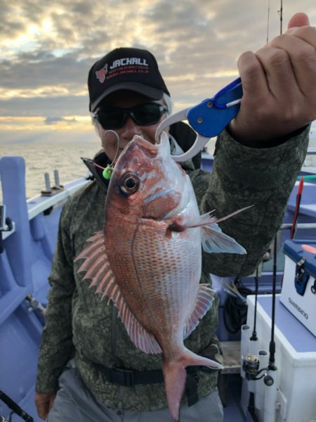 新幸丸 釣果