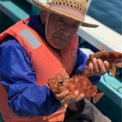 丸万釣船 釣果