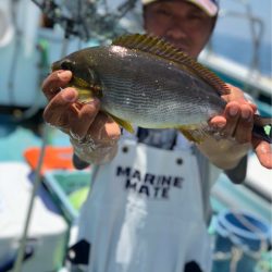 丸万釣船 釣果