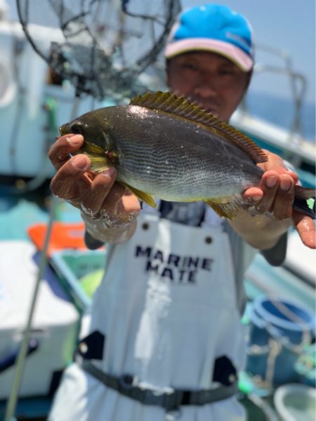 丸万釣船 釣果