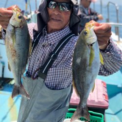 丸万釣船 釣果