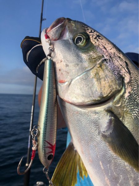 山正丸 釣果