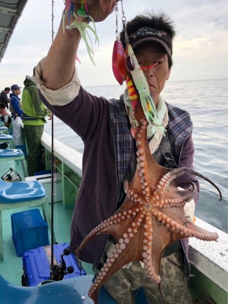 ヤザワ渡船 釣果