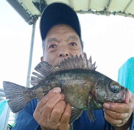 小島丸 釣果