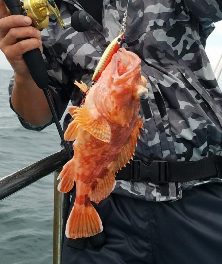 みやけ丸 釣果