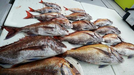 タイラバ遊漁船 ワンピース 釣果