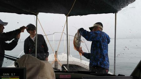 タイラバ遊漁船 ワンピース 釣果