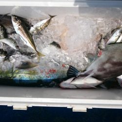 海龍丸（石川） 釣果