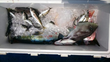 海龍丸（石川） 釣果