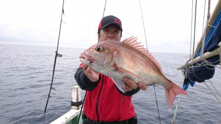 だて丸 釣果