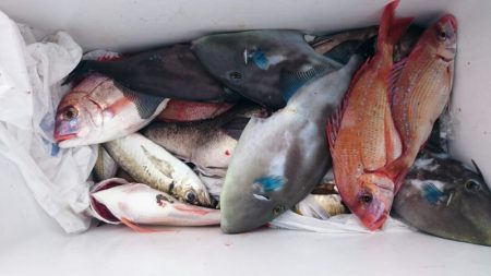 海龍丸（石川） 釣果