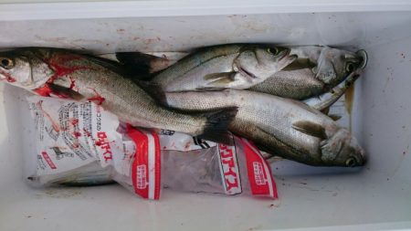 海龍丸（石川） 釣果