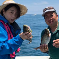 丸万釣船 釣果