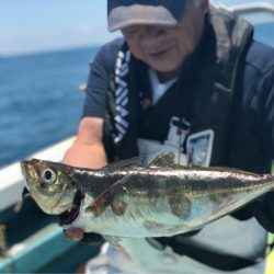 丸万釣船 釣果