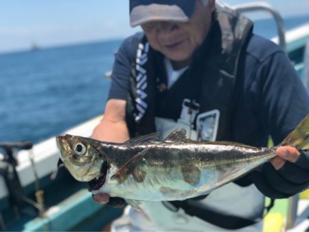 丸万釣船 釣果