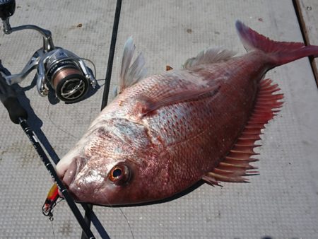 ありもと丸 釣果