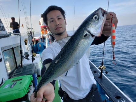 丸万釣船 釣果