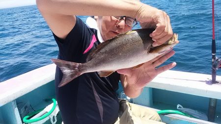 ぽん助丸 釣果