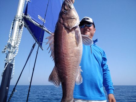 ひな丸 釣果