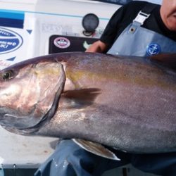 オーシャンパイオニア 釣果