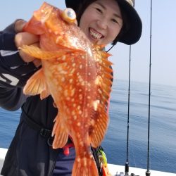 珀宝丸 釣果