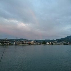 今日の釣果