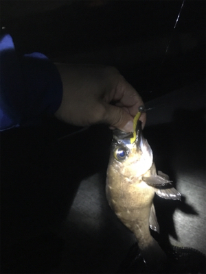 雷鳴を聞きながら