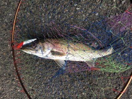 鳴門の激流ポイントにて