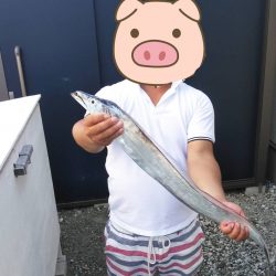 本日の太刀魚沖釣りは激渋