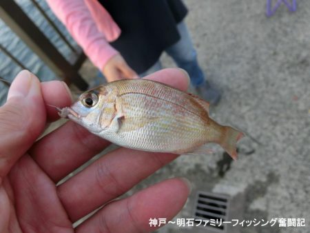 猛暑の中で11目釣り