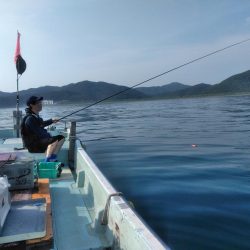 かかり釣りで鯖・・