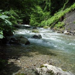 渓流ミノーイング　増水の渓