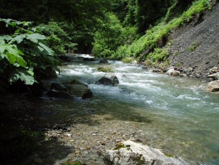 渓流ミノーイング　増水の渓