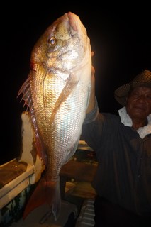 松福丸 釣果