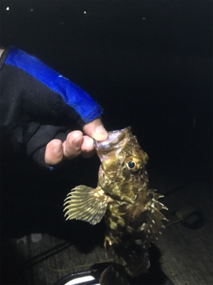 雷鳴を聞きながら