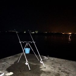 夜明け前のアナゴ釣り