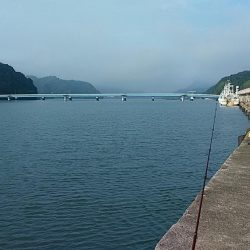 津居山漁港でキス狙い